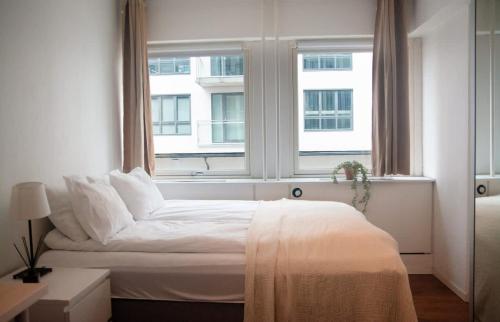 High standard spacious apartment near Bryggen High standard spacious apartment near Bryggen