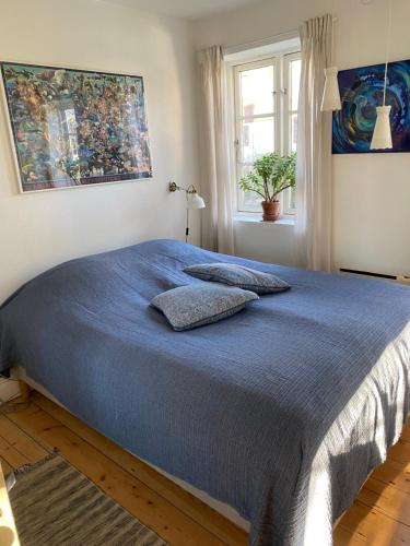  Vidunderligt hus på smukke Nyord in Stege