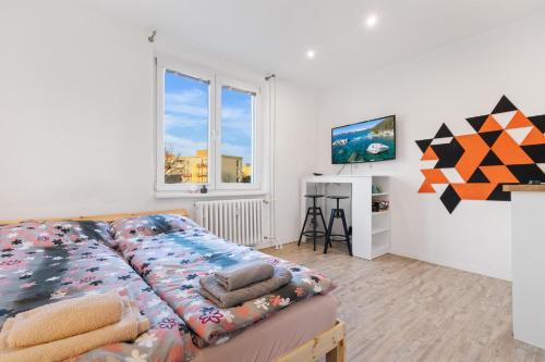 Apartment 20 minutes from City Center w Coffee, Tea, TV, and Parking, Bratislava