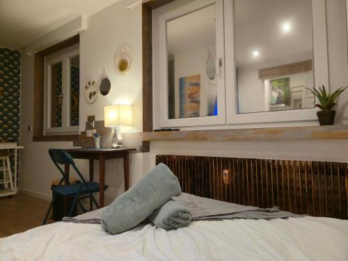 Nid Cosy et Sauna Privé & Proche Centre Strasbourg & Kehl, Strasbourg (photo 4)