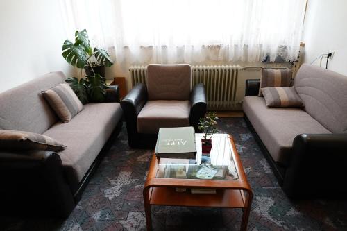 Sobe in apartmaji Pri Ukcu Bohinj, Bohinj (fotografie 8)