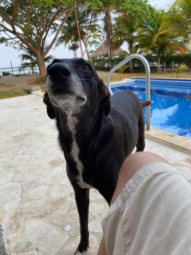 Casa de playa Manglares