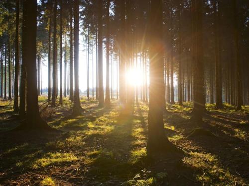 Panorama Modern retreat Panorama Modern retreat