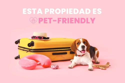 Estudio Boutique Reformado I 5 min Ski Resort Estudio Boutique Reformado I 5 min Ski Resort