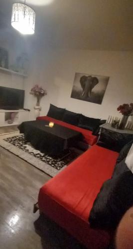 Appartement T5 pouvant accueillir 8 personnes - Location saisonnière - Colomiers