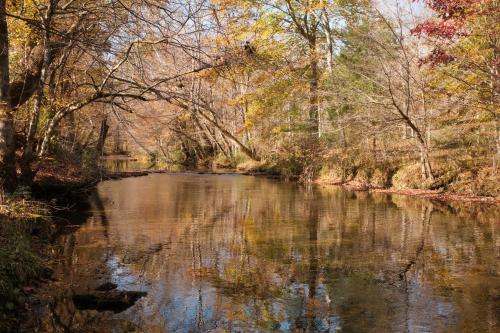 Cozy Creekside Cabin Near Waterfalls, Hiking, Fire Pit in McMinnville (TN)