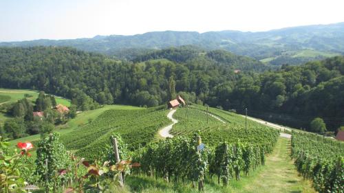 Pension Andrea - image 6