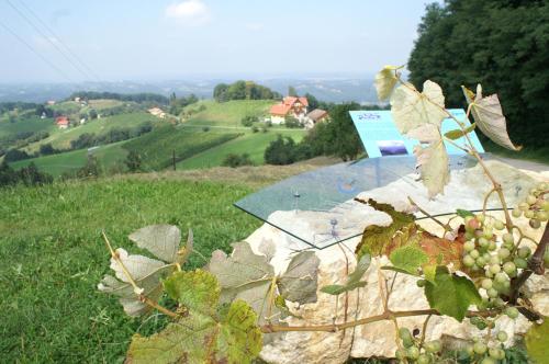 Pension Andrea - image 9