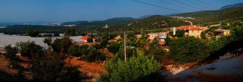 Beymelek Tas Evler - image 11