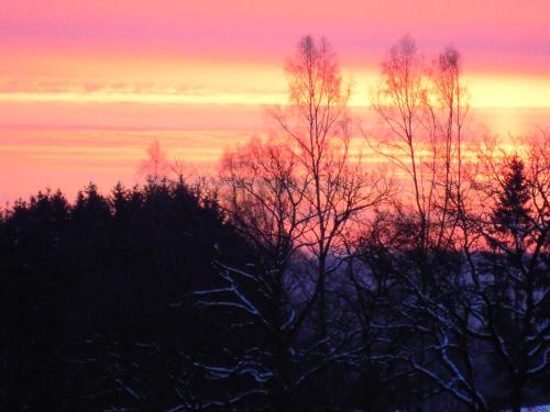 Gîte Le Gros Chêne - image 11