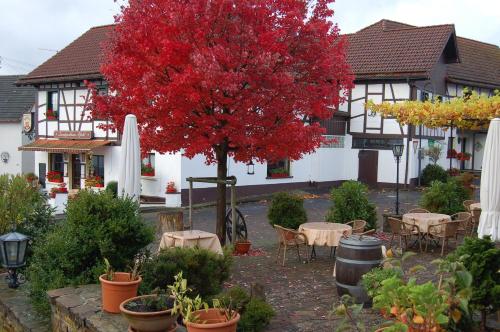 Landgasthaus Pfahl 4