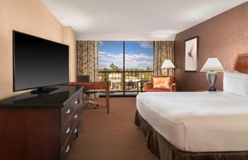 King Room