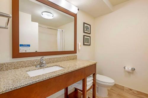Comfort Suites Downtown - image 12