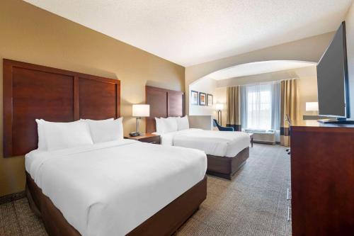 Comfort Suites Downtown - image 2