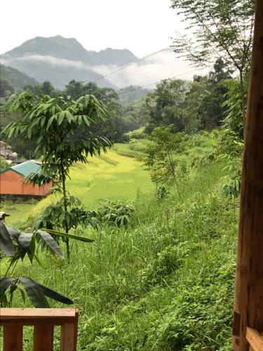 Homestay Khoáng nóng Thông Nguyên (Homestay Khoang nong Thong Nguyen) in Nam Pi