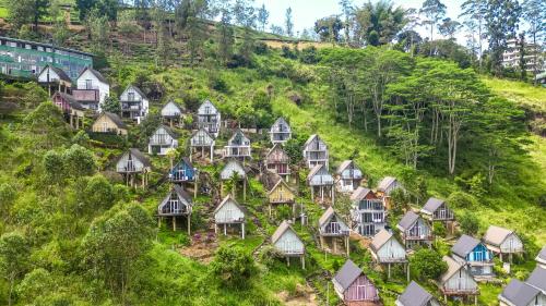 Wild Flower Waterfall Villa in Pundaluoya