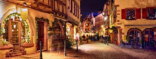 La cigogne d'Alsace 3 in Selestat