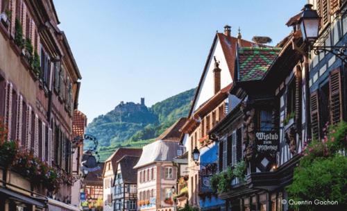 La cigogne d'Alsace 3 in Selestat