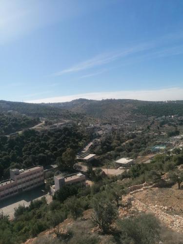 ريف عجلون, Ajlun (foto 10)