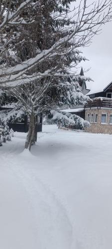 Apartmani Villa Deleon Bjelasnica in Umoljani
