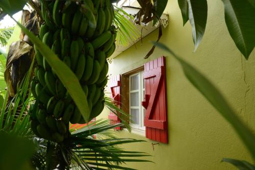 Petite case créole de charme en centre-ville de Saint-Pierre - Location saisonnière - Saint-Pierre