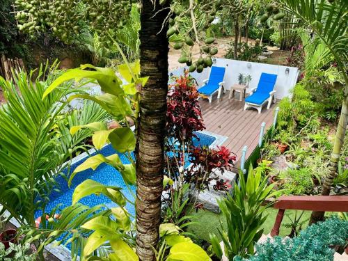 بيل ديس إيليس بيل ديس إيليس