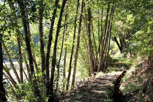 A szálláshely kívülről, Welcoming house in Souto da Casa - 50 m² with enclosed garden in Castelo Novo