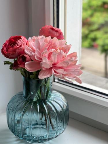  Das Domizil in Klagenfurt