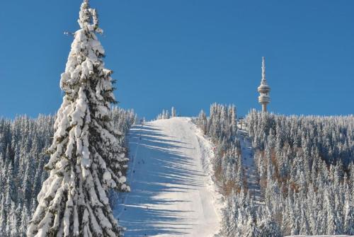 Костадинов 2, Pamporovo (fotografie 9)