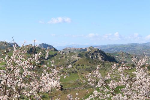 Agriturismo Feudo Muxarello