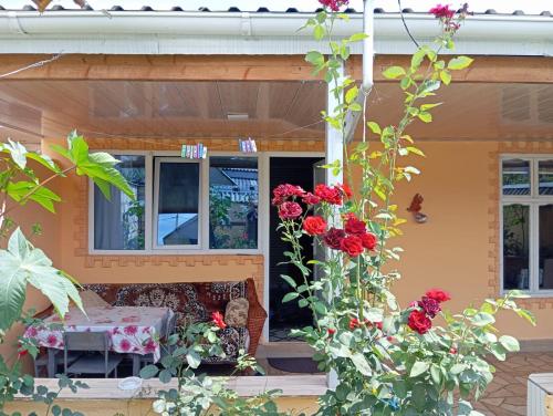 Chilegir Host in Chilegir