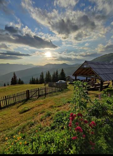 Vujov Katun-Jokic, Plav