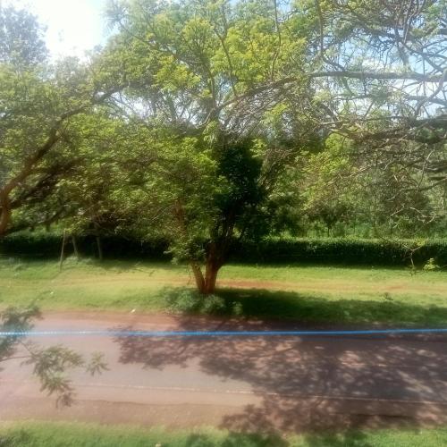 Eldorado cabin in Nyeri