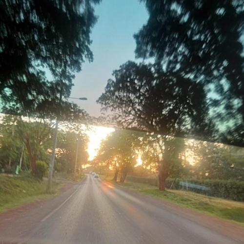 Eldorado cabin in Nyeri