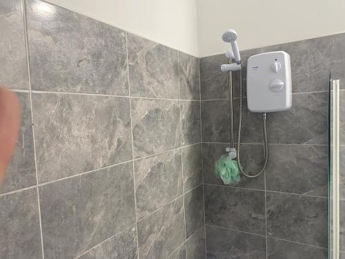 Comfortable Norton Studio