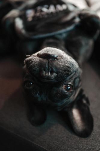 ZSAM Chalets mit Sauna und Hottub ZSAM Chalets mit Sauna und Hottub