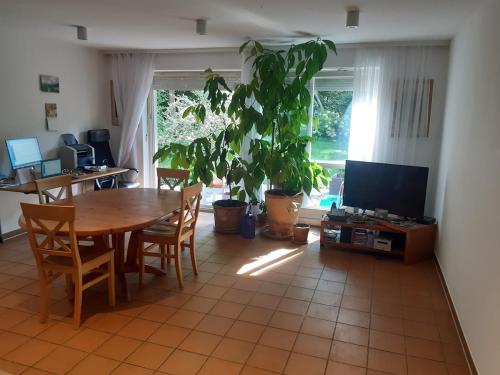 Sunny garden flat in Munich, Monachium (zdjęcie 8)
