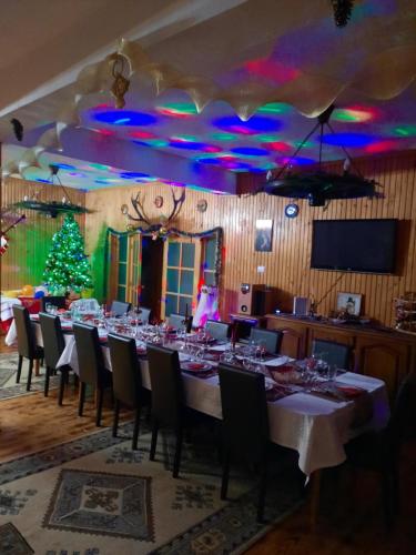 Közös társalgó / TV, Casa dintre Pini Agapia in Agapia