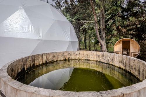 Hotel La Perla Domos in Chihuahua