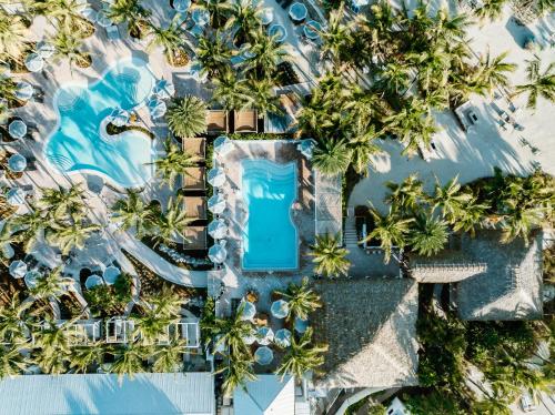 Islander Resort, Islamorada (fotografie 7)