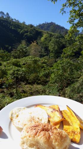 Cabaña el Chapuzón montaña y rio, lugar fresco (Cabana el Chapuzon montana y rio, lugar fresco) in San Ignacio