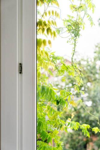 Beautiful one bedroom apartment, Antwerpen (Foto 5)