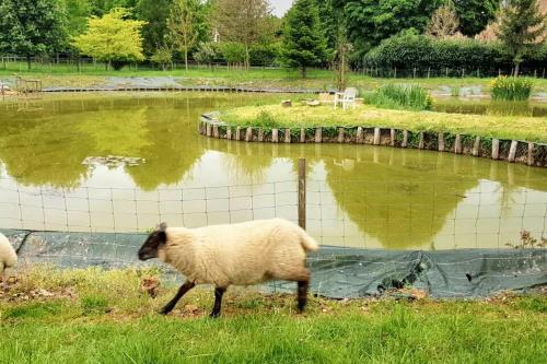 A szálláshely kívülről, Maison de charme à Gacé avec barbecue et parking (Maison de charme a Gace avec barbecue et parking) in Gacé