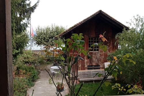 สวน, Studio Le rêve de Rive (Studio Le reve de Rive) in นียง