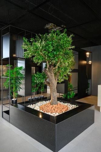 ทัศนียภาพภายนอกโรงแรม, La Clarté (La Clarte) near สนามบินปอร์ตบูเอต์