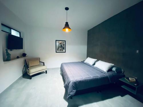 Mi Medellin Hotel Sede Laureles