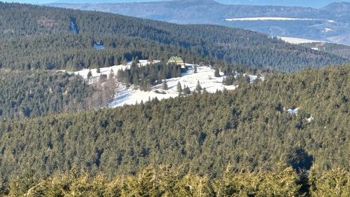 Apartmán U Merlina (Apartman U Merlina) in Destne V Orlickych Horach