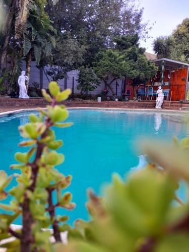 View, Palm Estate in Edenvale