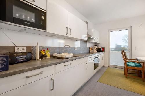 Cocina, Seeschwalbe in Olpenitz