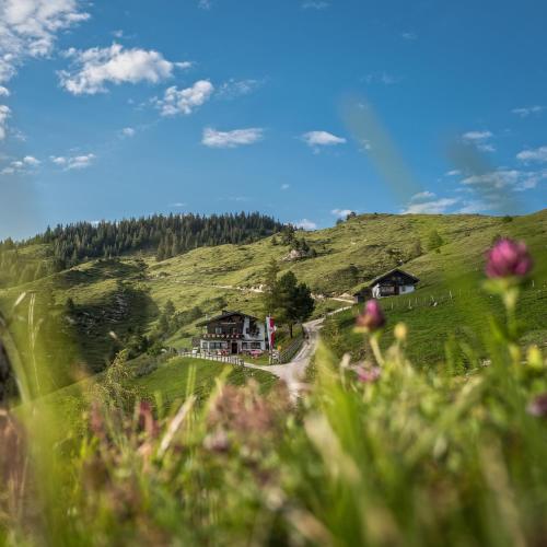 Apkārtne, BuchackerAlm -1,5h panoramic walk in Angerberg